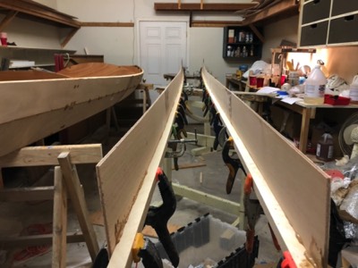  2/2/18 - Sheer clamps are epoxied to the upper panels. 